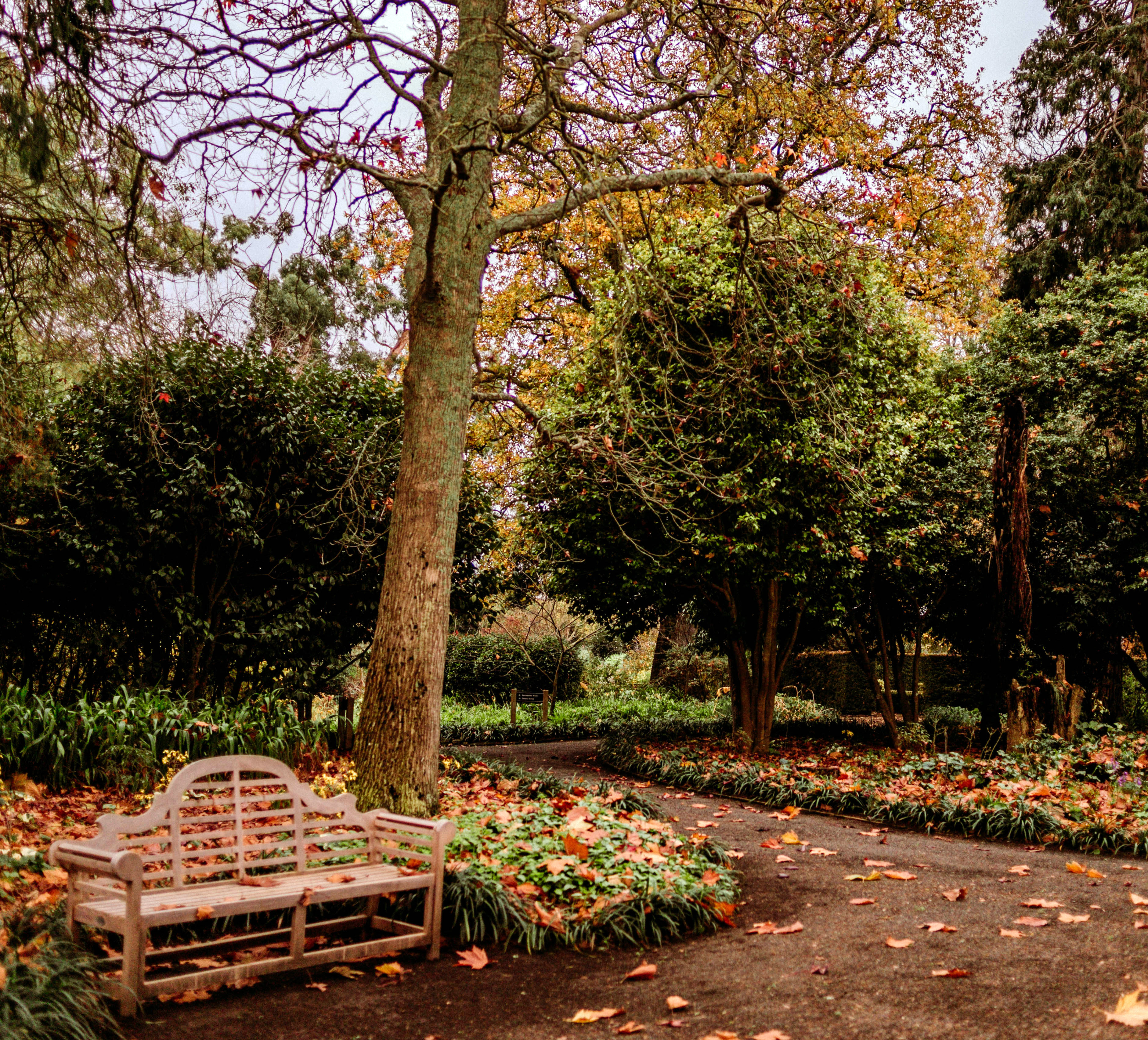 Gardens to visit Woodlands Homestead Gardens and Function Centre