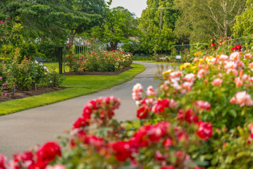 Gorepublicgardens 47