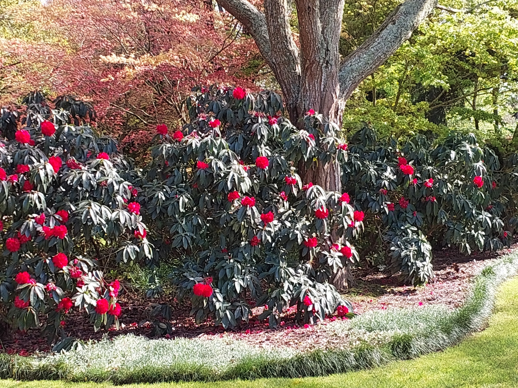 20261004_101555.jpg (1)