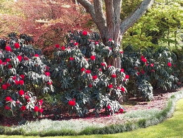 20261004_101555.jpg (1)