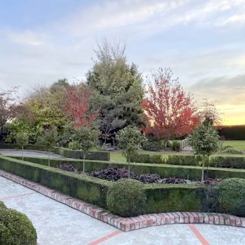 Cottonwood Garden image