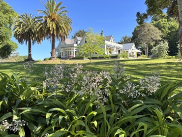 Glendower 1.jpeg