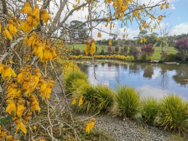 IMG 20230913 144725 Resized 20230915 103455601