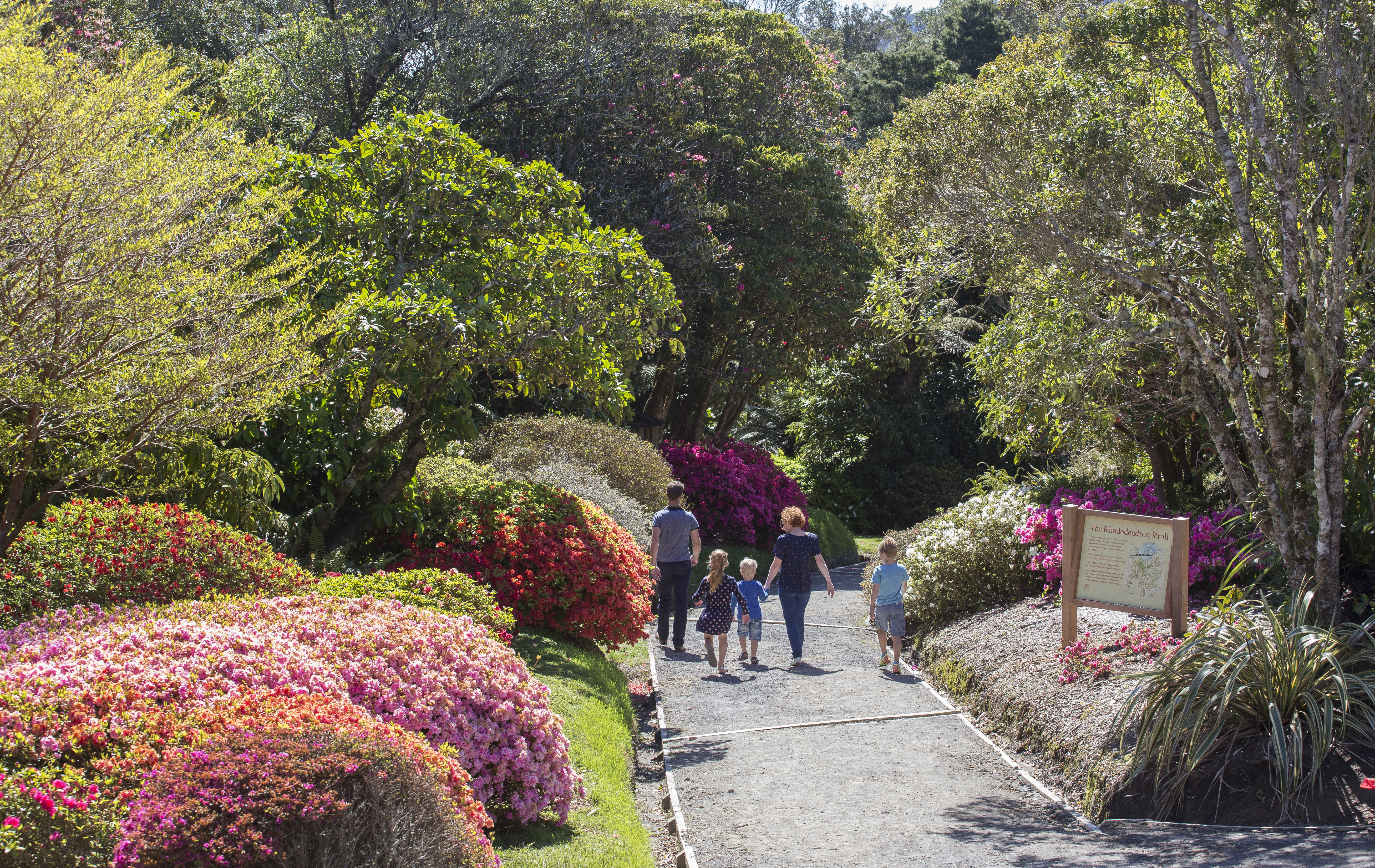 Gardens to visit Hinterland Tours Taranaki Garden Festival