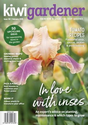 Kiwi Gardener