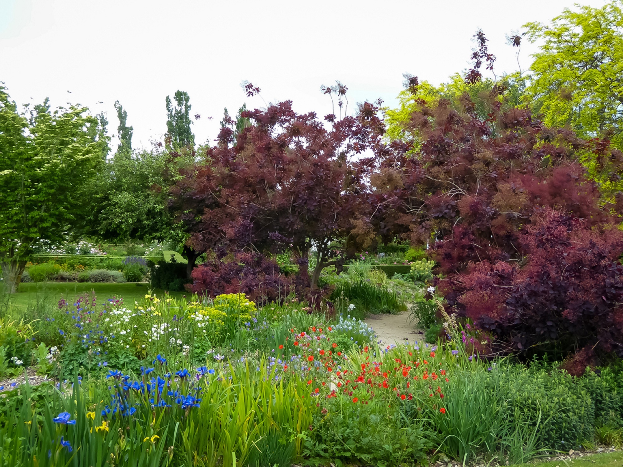 Creek Bed (1)