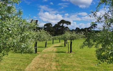 IMG 20211118 104154 Edit 8282599910714 Resized 20220512 060806961 (1)