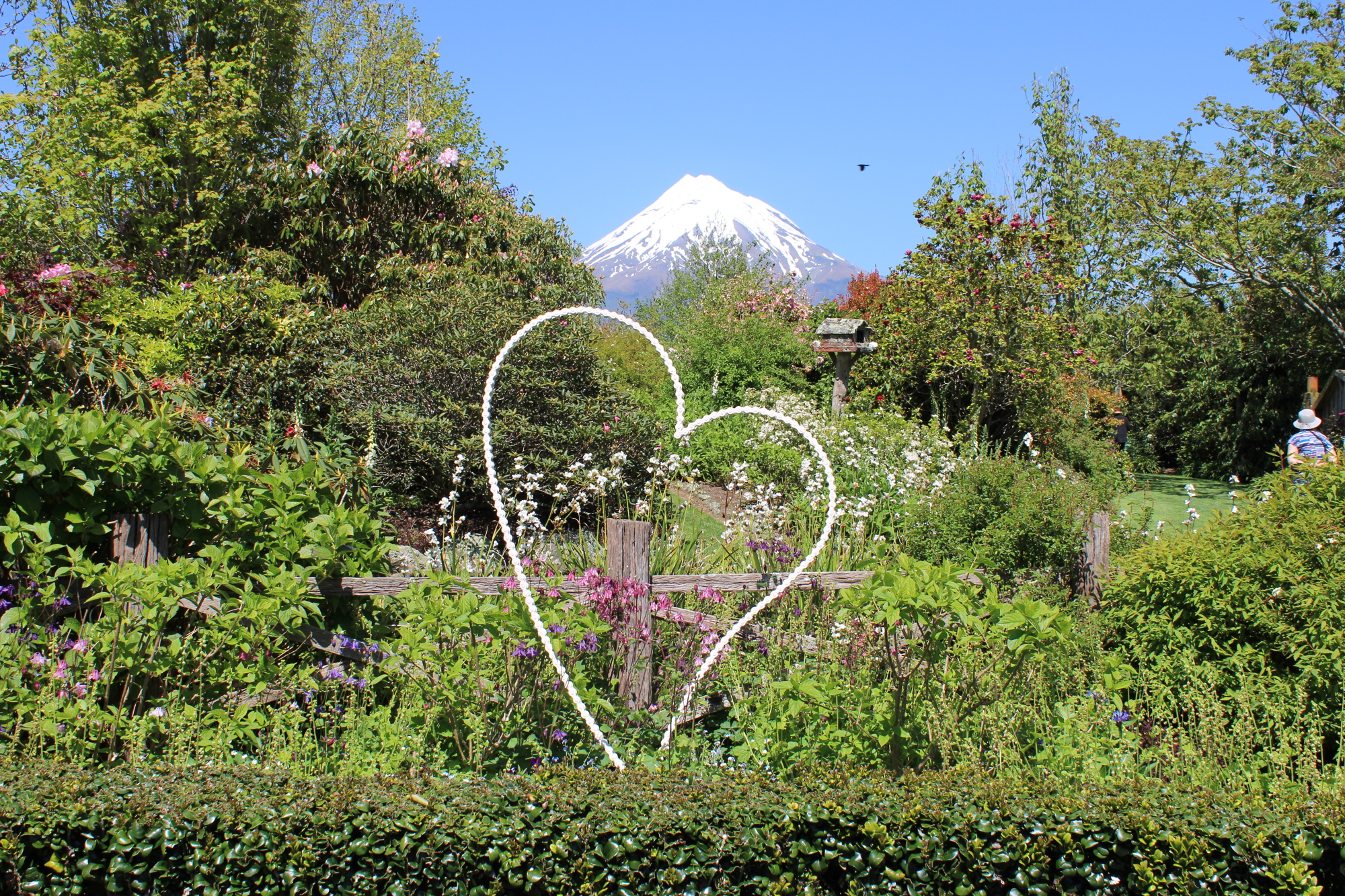 Gardens to visit - Twilight Travel: Taranaki Garden Festival Tour