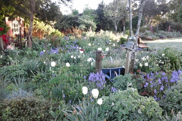 Folster Gardens
