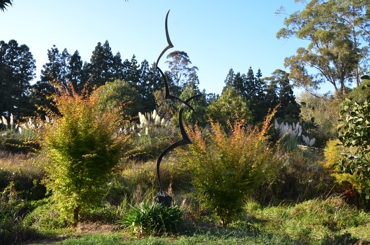 dsc_1673.jpg