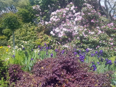 63731986571446191820161109 135454