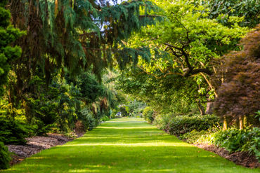 Gorepublicgardens 31