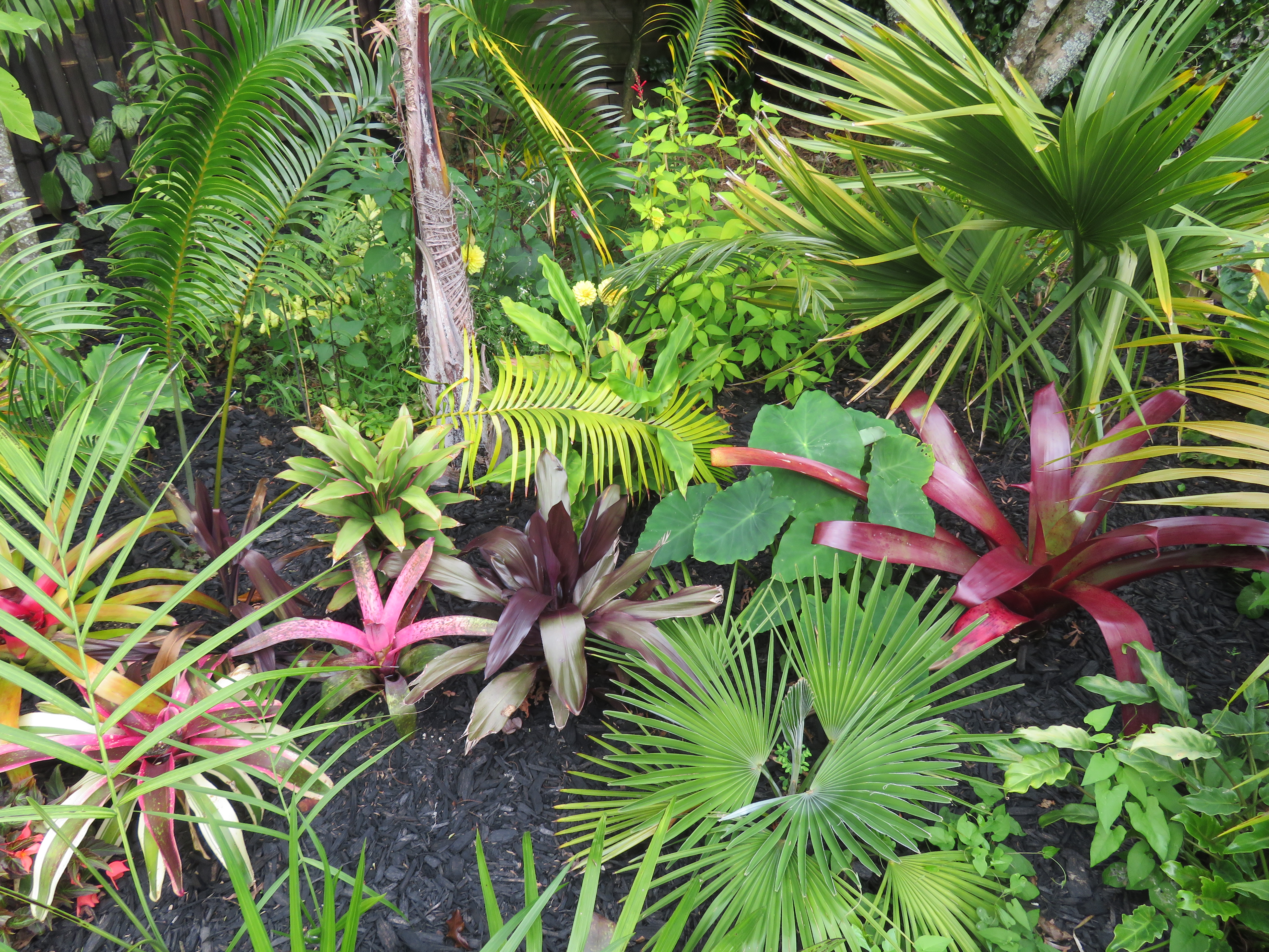 Gardens to visit Taranaki Garden Festival