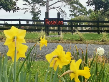 IMG 20230903 100549 Resized 20230903 105350222