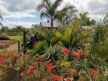 IMG 20211118 103933 Resized 20220512 060554142