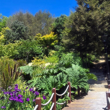 waterway for gardens to visit greener grass.jpg