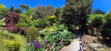 waterway for gardens to visit greener grass.jpg