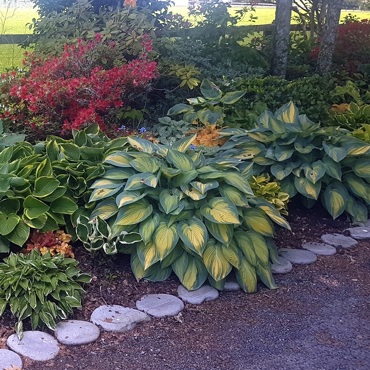 20161109 134155 Copy