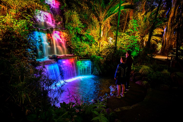 Hinterland Tours New Plymouth Festival of Lights