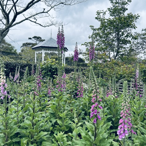 Addenbrooke Garden  image