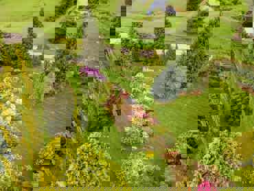 DJI 0086