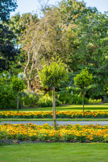 Gorepublicgardens 45