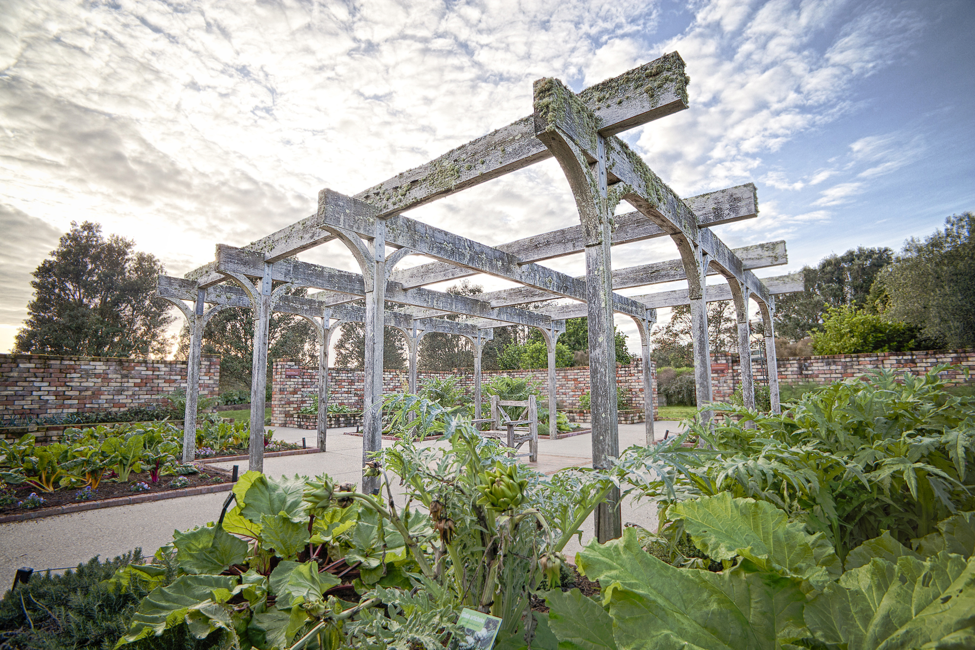 Gardens to visit Auckland Botanic Gardens