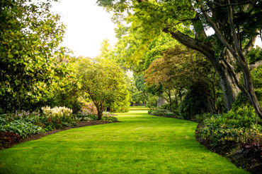 Gorepublicgardens 49