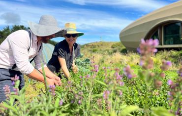 57A138a8 9F04 4E87 Bf01 F9a0127b066e