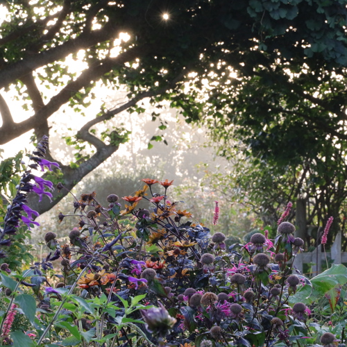 Villaleigh  Garden and Nursery image