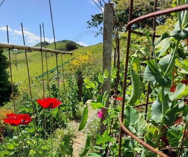 59F8e179 B435 48Ff B462 66Eecb6a7f6c