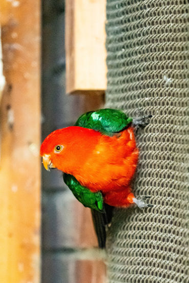 Gorepublicgardens 07