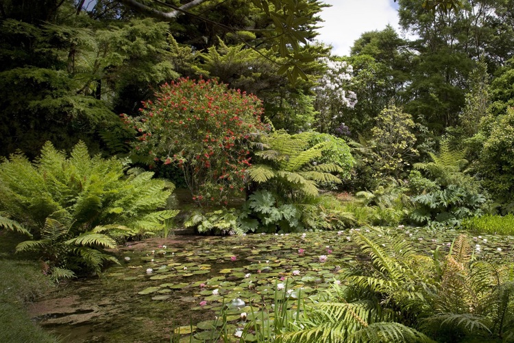Rapaura Watergardens