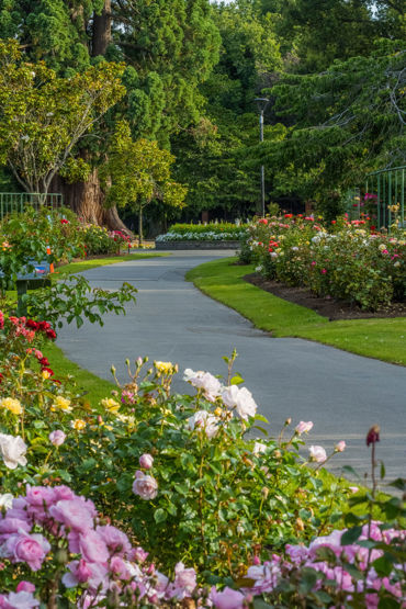 Gorepublicgardens 26