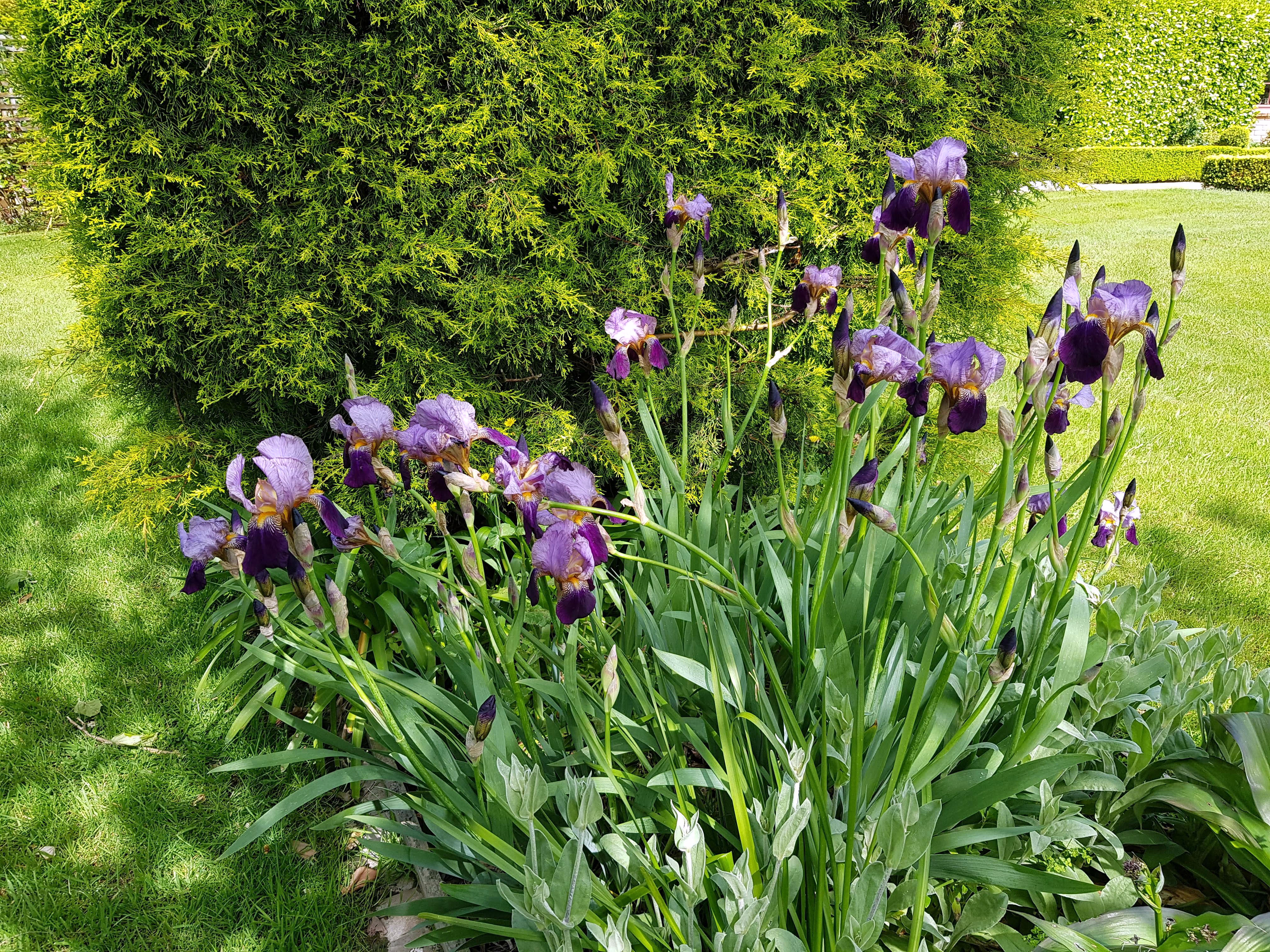 Gardens to visit - Longwood