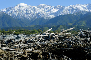Kaikouramountain DSC1981